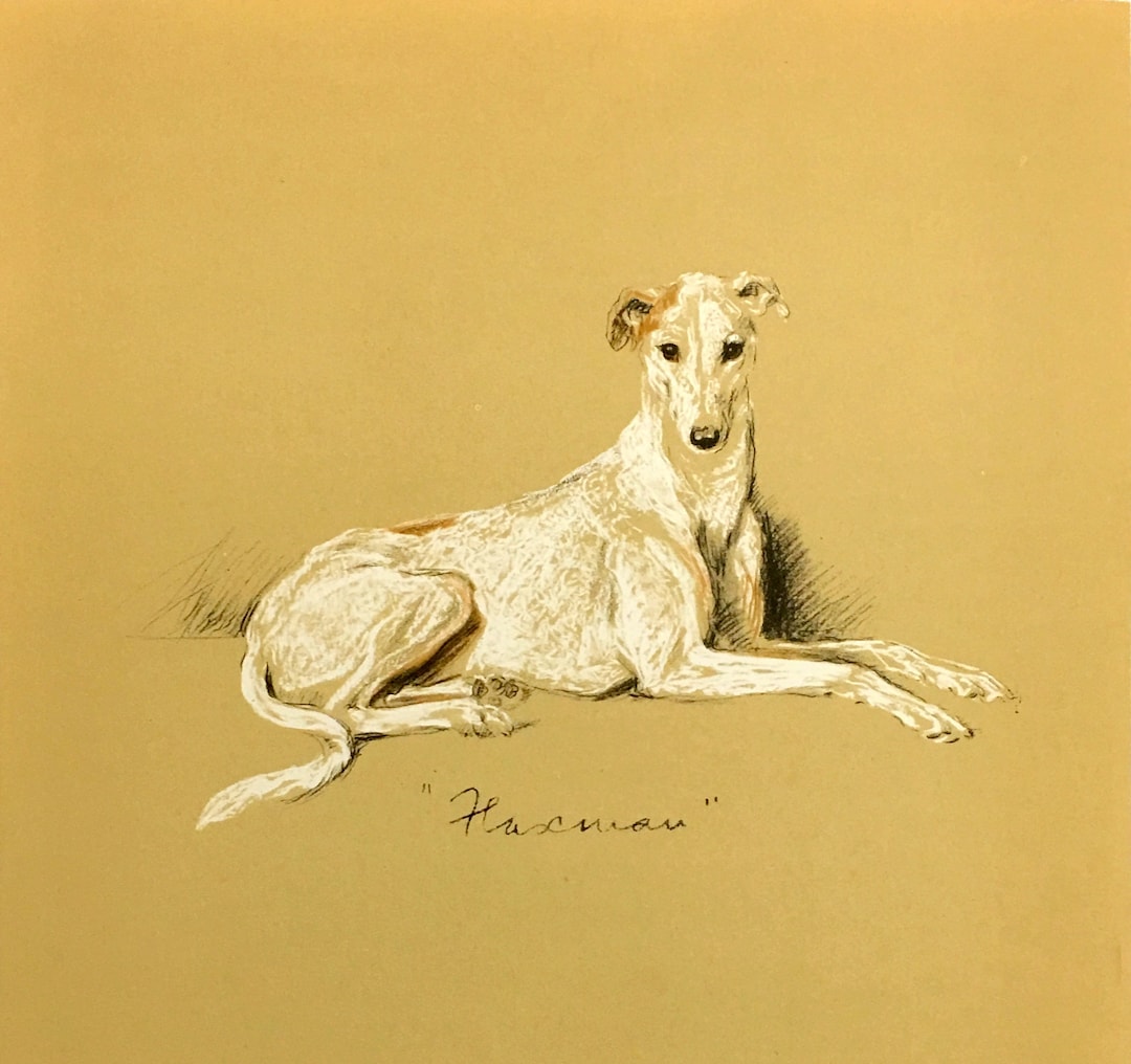 Greyhound Dog Drawing by Lucy Dawson Art Print 1940's Litho flaxman Etsy