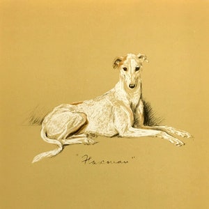 Greyhound Dog Drawing by Lucy Dawson Art Print 1940&#39;s Litho &quot;Flaxman&quot;