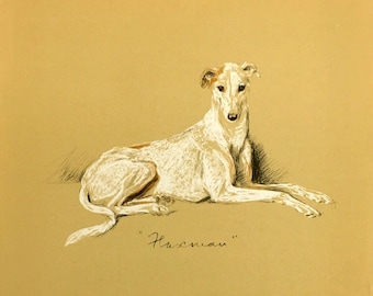 Greyhound Dog Drawing by Lucy Dawson Art Print 1940's Litho "Flaxman"