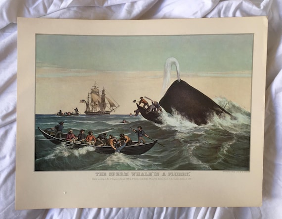 CURRIER & IVES Art Print the Sperm Whale 