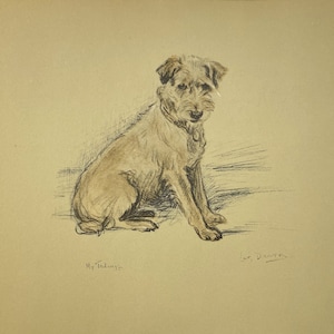My Tailwagger - Fox Terrier Dog Drawing by Lucy Dawson Art Print 1937 Lithograph