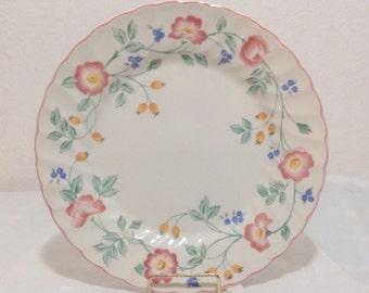 Churchill Staffordshire England Briar Rose Set of 2 Dinner Plates