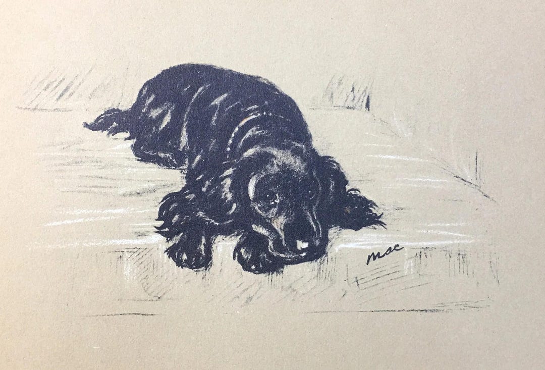 Lucy Dawson 1937 Black COCKER SPANIEL Art Print Lithograph - Etsy