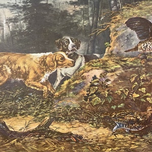 CURRIER & IVES 1857 American Field Sports &quot;Flushed&quot;  Vintage Art Lithograph Print Dogs Hunting Tait