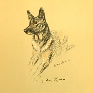 May include: A black and white pencil drawing of a German Shepherd dog, titled "Lady Oluna" by Lucy Dawson.