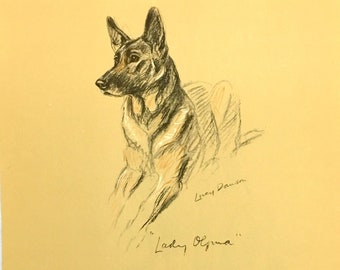 Alsation Dog Drawing by Lucy Dawson Art Print 1940's Litho "Lady Olfina"