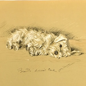 Dibujo de perro de Sealyham de Lucy Dawson Impresión artística Litografía de la década de 1940 Título "No le importa" Bustle