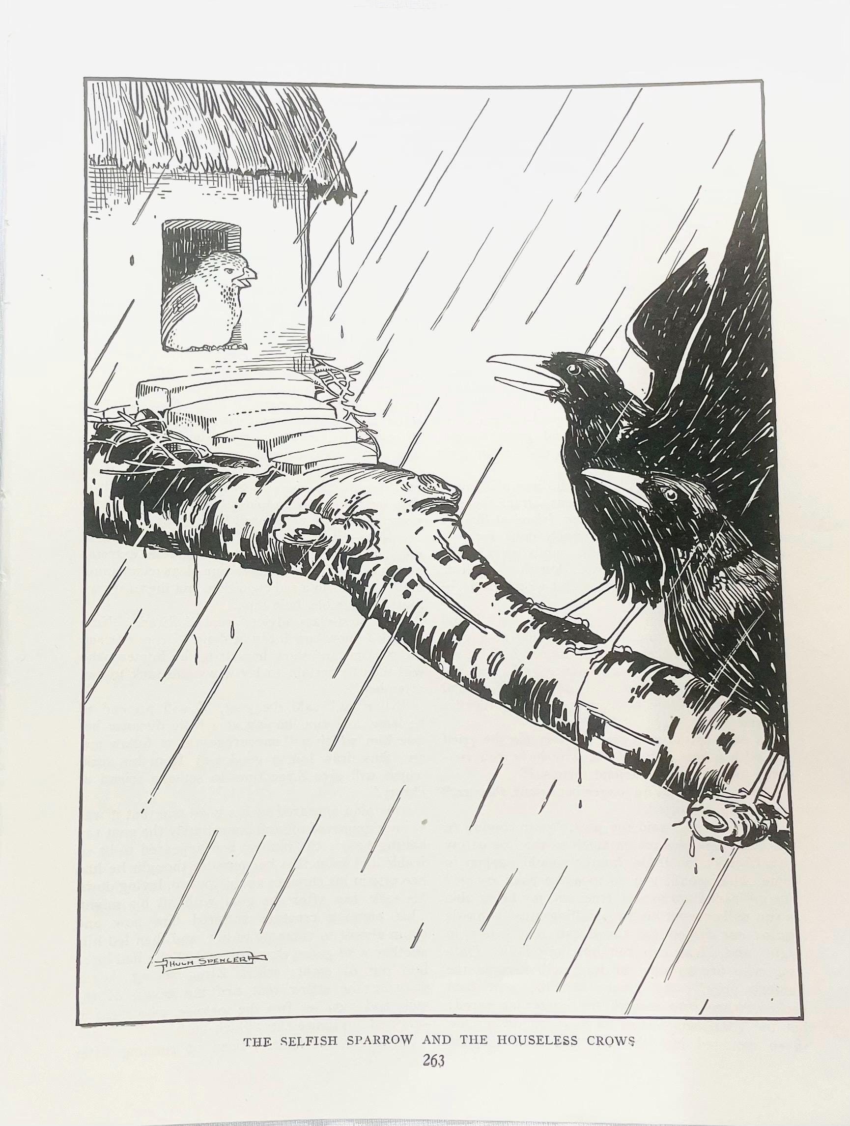 The Selfish Sparrow And The Houseless Crows 1927 Hugh Spencer Art  Indian Folk Tale