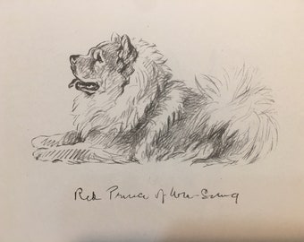 CHOW CHOW Red Prince of Wu Sung Dog Drawing by Lucy Dawson Art Print 1940's Litho