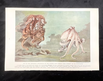 Octopus Print Hashime Murayama 1939 Antique Fish Art