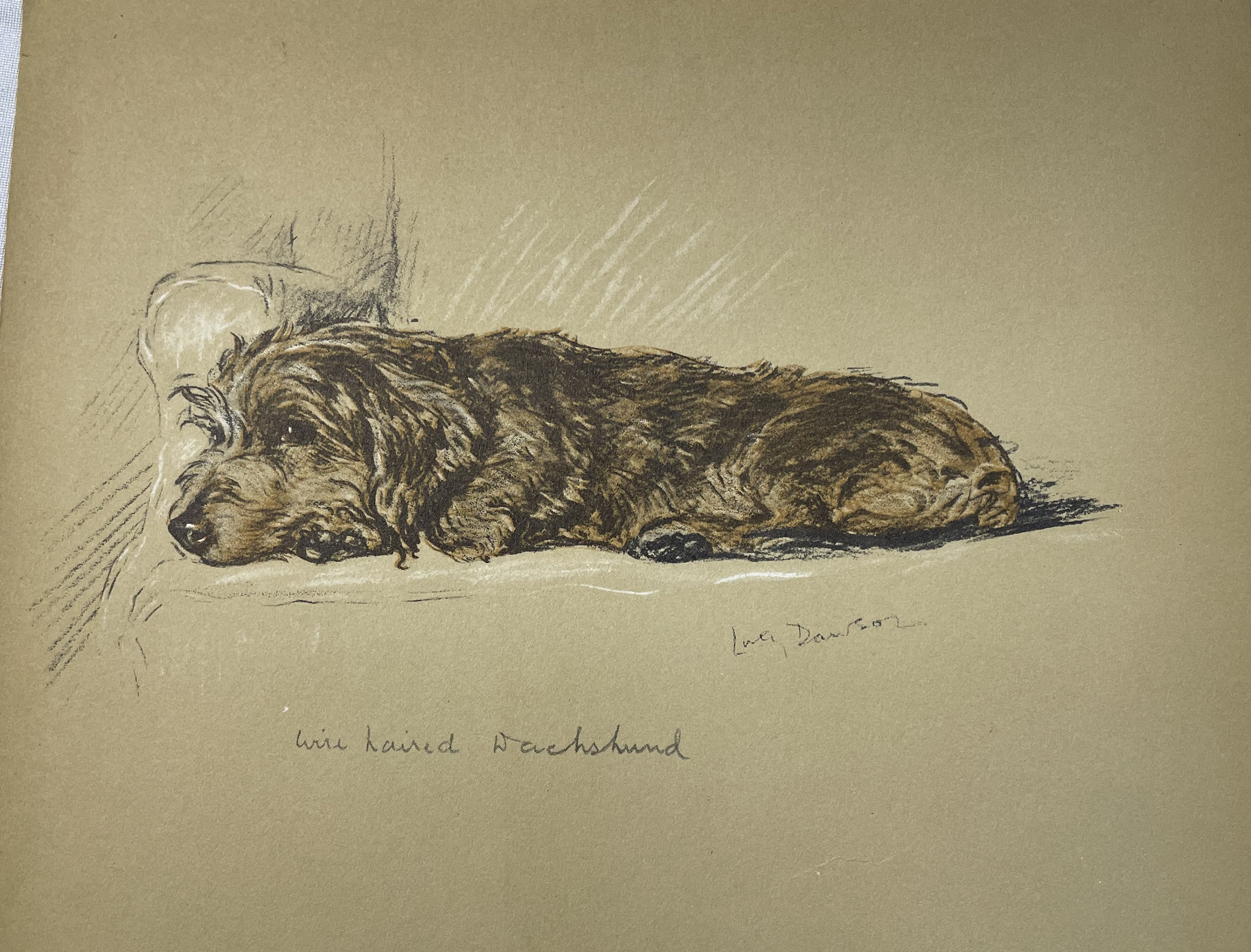 Dachshund Dog Drawing by Lucy Dawson Art Print 1937 Litho Long