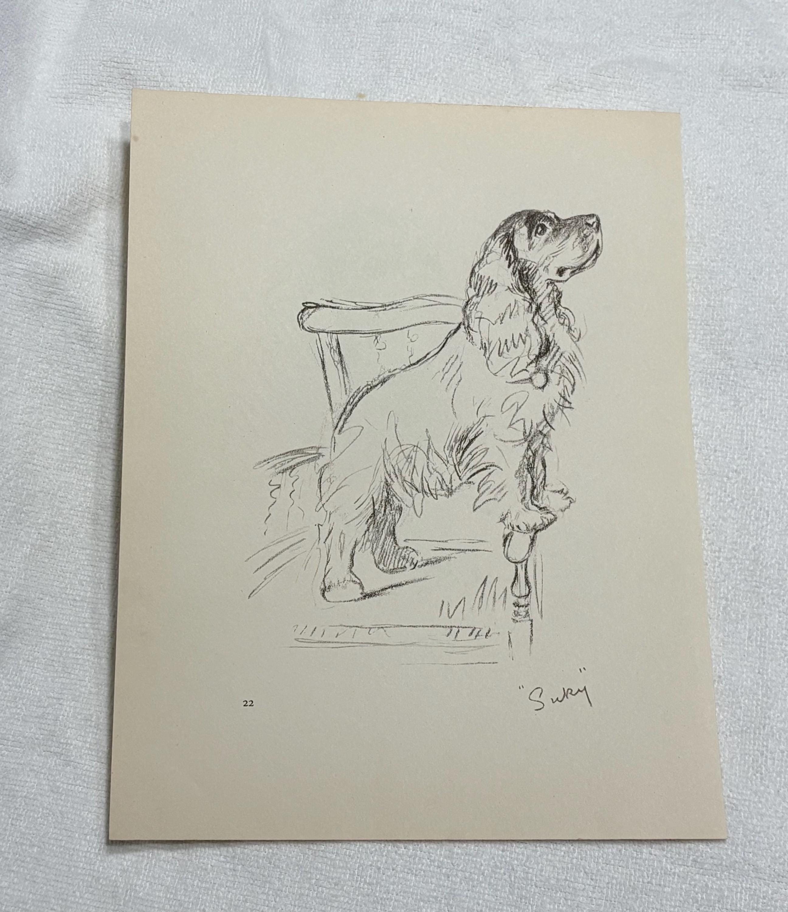 Cocker Spaniel Suky on the Chair Dog Drawing by Lucy Dawson Art Print ...
