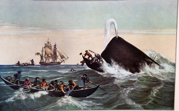 CURRIER & IVES Art Print the Sperm Whale 
