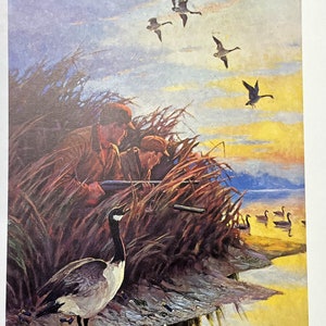 Vintage Hunting Print Live Decoy Art Print by Frank Stick Color Lithograph