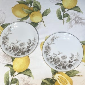 Noritake LASALLE  5142  set 2 Salad Plates Vintage 60&#39;S Fine China Japan