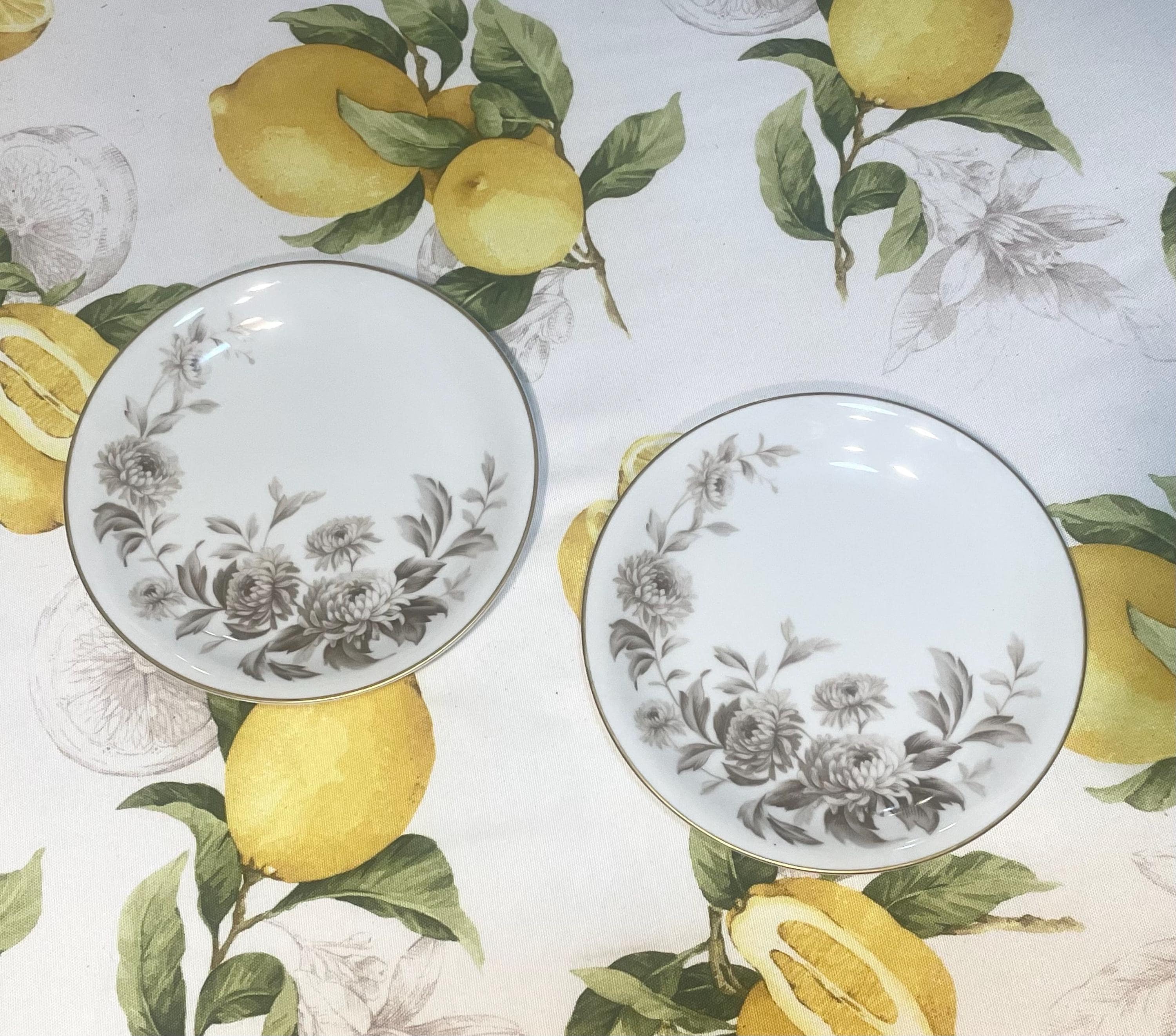 Noritake LASALLE 5142 Set 2 Salad Plates Vintage 60'S Fine China