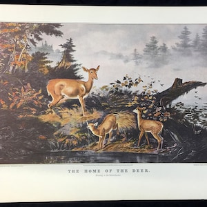 La casa del cervo, Currier e Ives Arthur Fitzwilliam Tait Stampa litografica d'epoca Fauna selvatica