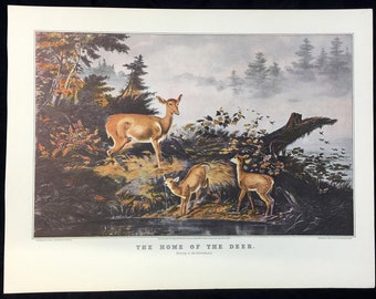 The Home of the Deer, Currier & Ives Arthur Fitzwilliam Tait  Vintage Art Lithograph Print Wildlife