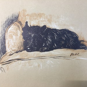 Terrier écossais chien noir sur canapé dessin par Lucy Dawson impression d'art 1937 lithographie