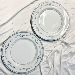 Mikasa Fine China Japan DOROTHY Dinner Plates 2