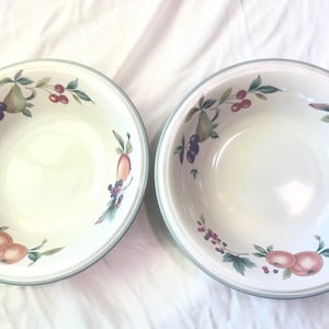 Studio Nova harvest harmony Fruit Pattern Soup Bowls set of 2 Late 90&#39;s Stoneware Mikasa FREE SHIPPING