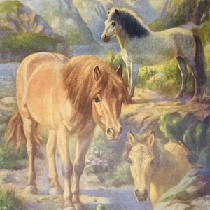 Cavalli pony norvegesi Dun e islandesi di Edward Miner, 1923, stampa artistica con illustrazione antica