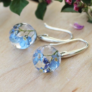 Real forget-me-not earrings Silver Forgetmenots earrings Blue Forgetmenot Terrarium earrings forget me not jewelry Woodland earrings resin