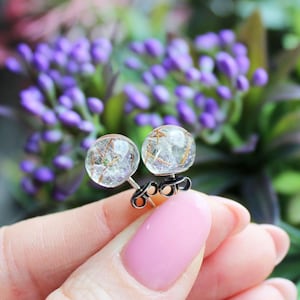 Orecchini in argento sterling con semi di tarassaco. Orecchini con veri denti di leone. Piccoli orecchini con terrario. Orecchini piccoli e minuscoli. Gioielli con denti di leone.