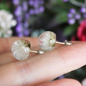 Orecchini a bottone in argento sterling con dente di leone, piccoli orecchini con vero dente di leone, orecchini con desiderio, gioielli con dente di leone, orecchini con terrario