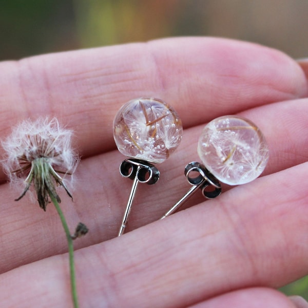 Löwenzahnsamen Ohrstecker Sterling Silber Echter Löwenzahn Wunschohrringe Ohrringe für Mama Löwenzahnschmuck Kleine Ohrringe Muttertagsgeschenk