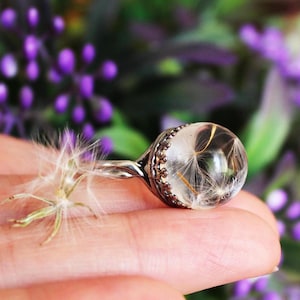 Sterling silver Dandelion ring Terrarium crown ring Adjustable ring Resin dandelion jewelry Eco sphere dandelion ring Dried seeds jewelry