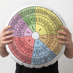 May include: A round, white pillow featuring a colorful emotion wheel with words like "happy," "sad," and "angry." The wheel is divided into segments, each labeled with a different feeling. The pillow is held by a person.