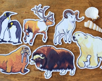 Arctic Animal Felt Board Set | Flannel Storytelling Game | Preschool Learning Toy | Creative Play | Teacher Resource | Biology Story Set