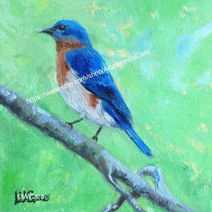 Blue bird original oil painting, bluebird art, square 8x8&quot; square painting, spring art, song bird #6©WCaro