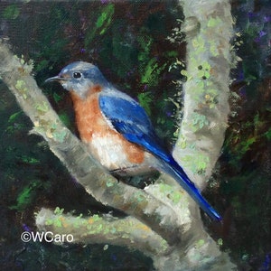 Blue bird original oil painting, bluebird art,  8x8&quot; square canvas painting, spring art, song bird #3 ©WCaro