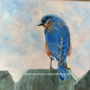 Blue bird II  original oil painting, bluebird art, 6x6” square painting, spring art, song bird ©WCaro
