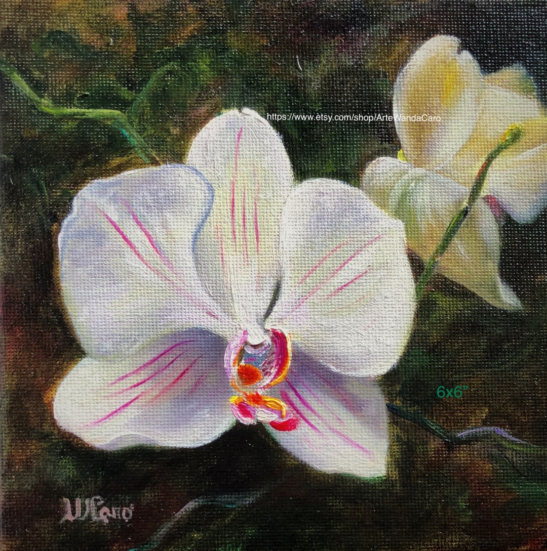 White Orchid Wall Art 6x6 Original Square Oil Painting Etsy