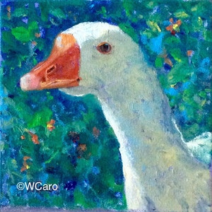 Goose original oil on canvas,  square format, stretched canvas 6x6 ,  gansito ©WCaro