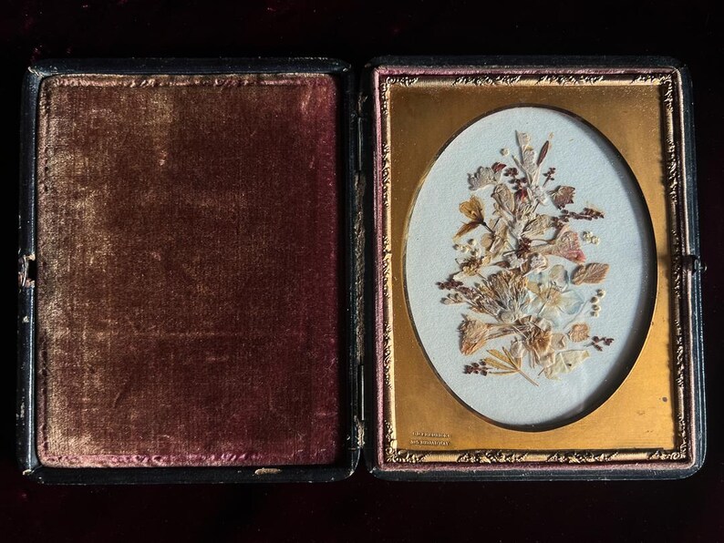 May include: A framed pressed flower arrangement in an oval frame with a gold border. The frame is made of wood and has a black velvet backing. The flowers are pressed and arranged in a bouquet shape. The flowers are a variety of colors, including white, pink, and brown.