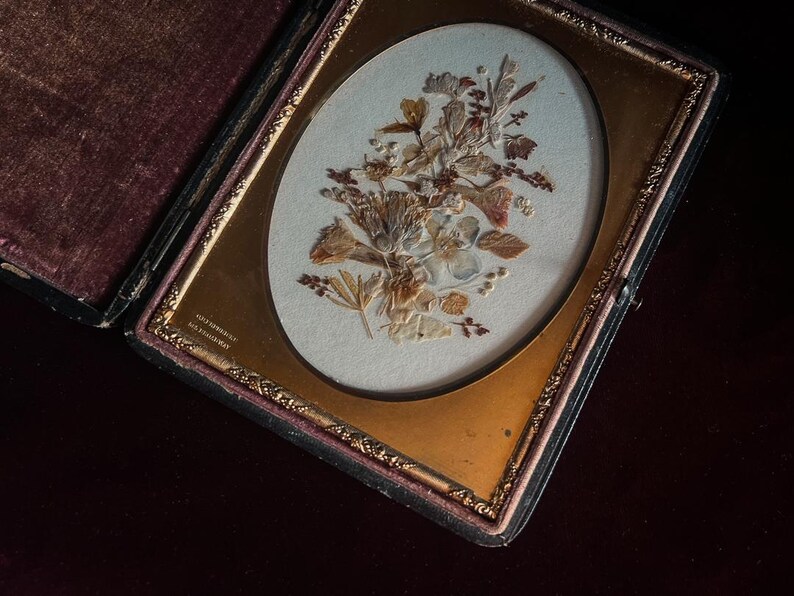 May include: A vintage pressed flower display in a gold frame with a black velvet mat. The frame has a gold inscription that reads "Copyright 1897, Geo. F. Gregory".