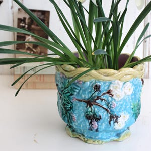 Puede incluir: Una maceta de cerámica azul con un diseño floral texturizado, llena de plantas verdes. La maceta tiene un borde festoneado y una base verde claro. El diseño incluye flores blancas y ramas marrones. La maceta tiene unos 15 cm de diámetro.