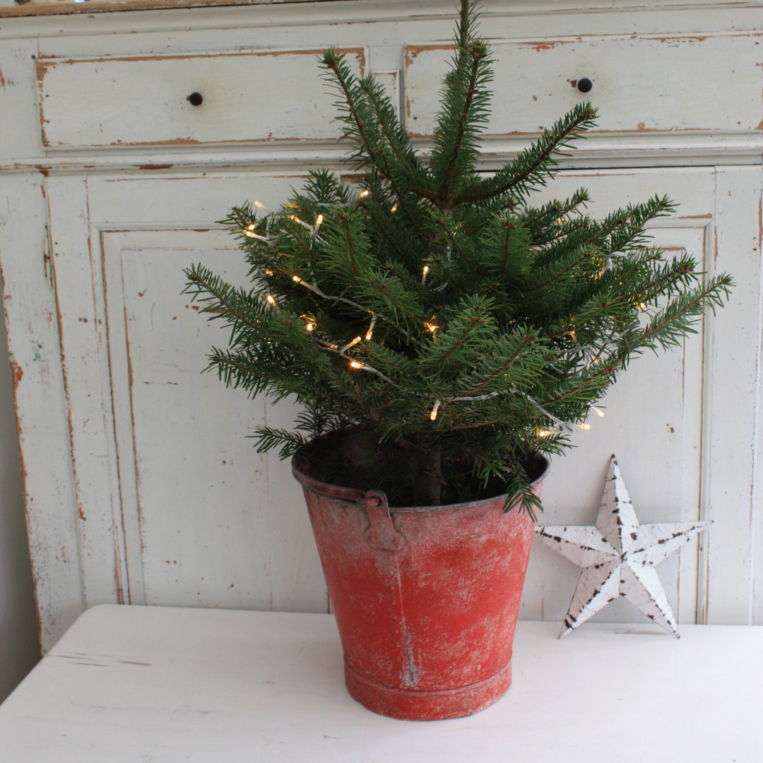 Large Old Red Bucket Perfect Christmas Tree Bucket Etsy