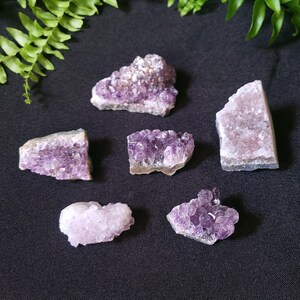 Könnte beinhalten: Sechs Amethyst-Kristallgruppen in verschiedenen Größen und Formen, die auf einer schwarzen Oberfläche angeordnet sind. Die Kristalle sind tiefviolett und haben eine natürliche, raue Textur.
