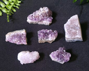 Small Amethyst Clusters | Natural Raw Crystals | Geode | Purple Gemstone