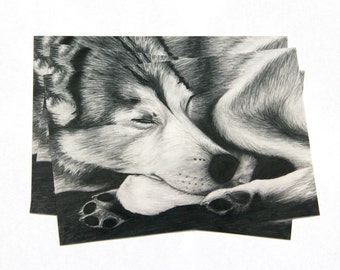 Sleeping Wolf Art PRINT | Giclee | Home Decor | Wall Art | Pencil Drawing | Husky Dog | Animal Portrait Artwork | Black and White