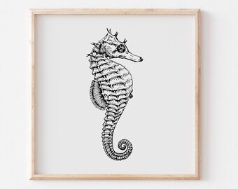 Vintage Seahorse Print, Ink Illustration, Specimen Drawing