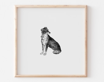 アンティーク絵画 1900年 イギリス 犬 カラー アンティーク絵画 1900年 イギリス 犬 カラー アンティーク絵画