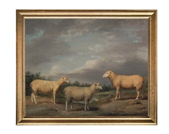 Print Ryelands-schapen: vintage olieverfschilderij met boerderijscène