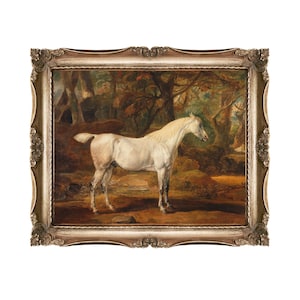 Grey Arabian Stallion Print: Vintage Equestrian Art