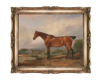 Bay Horse Oil Painting Print: Vintage Equestrian Art
